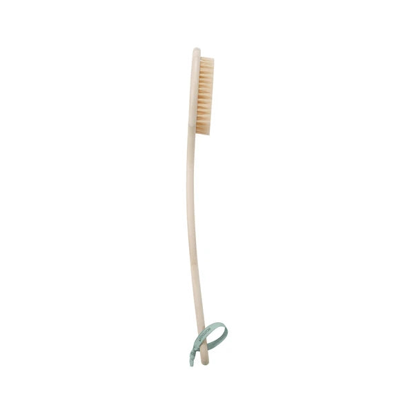 Bath Bristle Brush, for Cleansing & Exfoliating, Synthetic Bristles, Brown