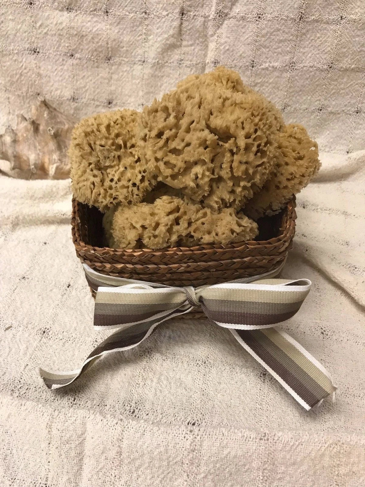 Mediterranean Natural Sea Wool Sponges  Approx. 2.5"- 3" each (SET OF 5)
