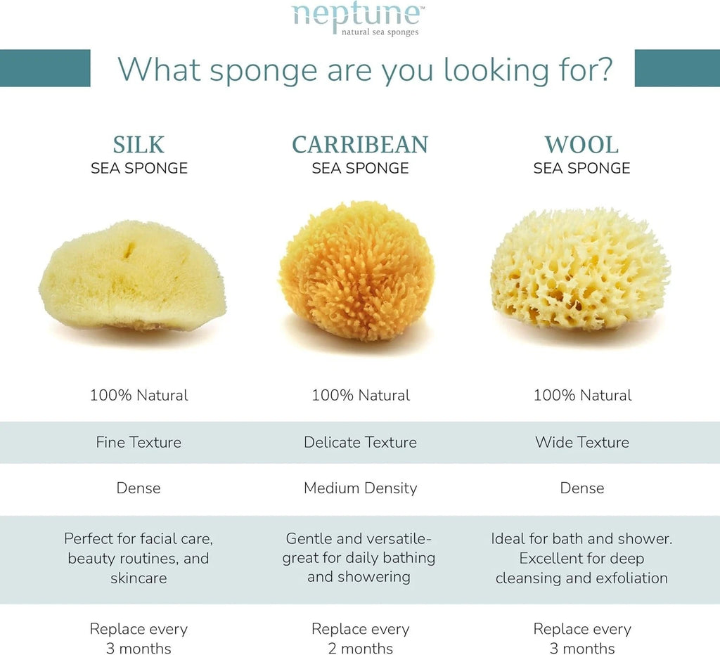 Caribbean Sea Silk Sponge 5-6 inches - Hand-Cut, Gentle on Skin, Eco-Conscious