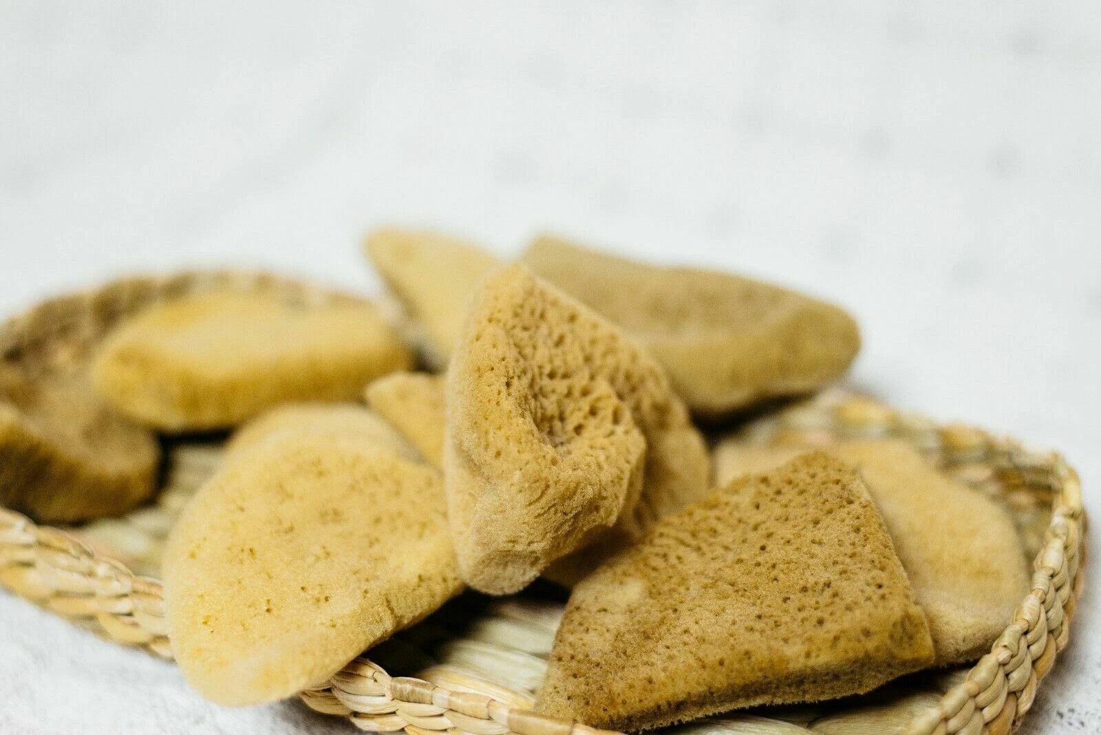 Mediterranean Elephant Ear  Sponges 3"- 3.5"