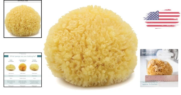 Caribbean Sea Silk Sponge 5-6 inches - Hand-Cut, Gentle on Skin, Eco-Conscious
