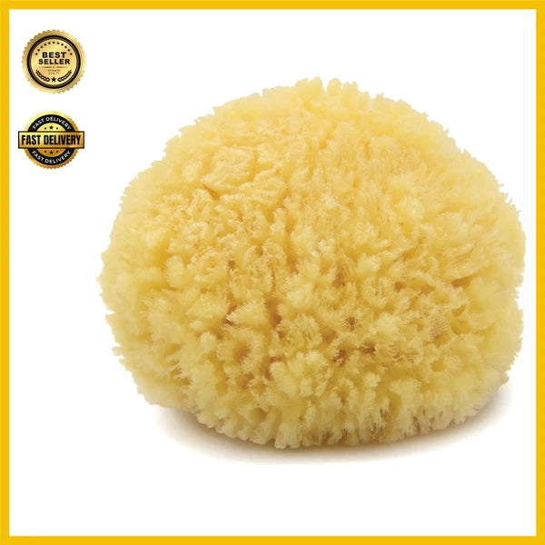 Caribbean Sea Silk Sponge 5-6 inches - Hand-Cut, Gentle on Skin, Eco-Conscious