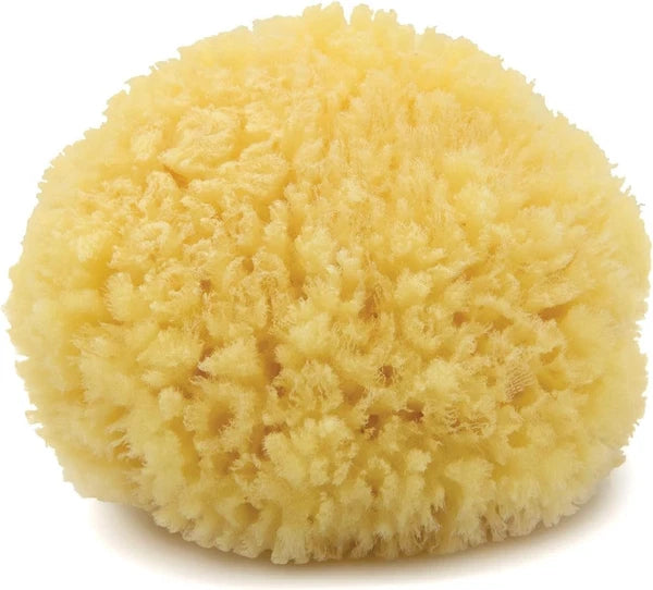 Caribbean Sea Silk Sponge 5-6 inches - Hand-Cut, Gentle on Skin, Eco-Conscious